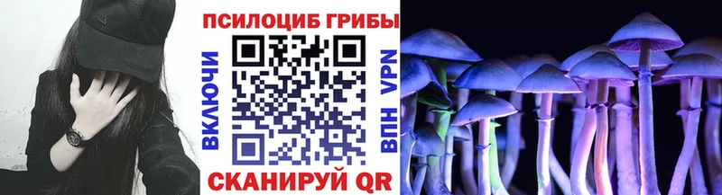 Галлюциногенные грибы Cubensis  магазин продажи   Няндома 